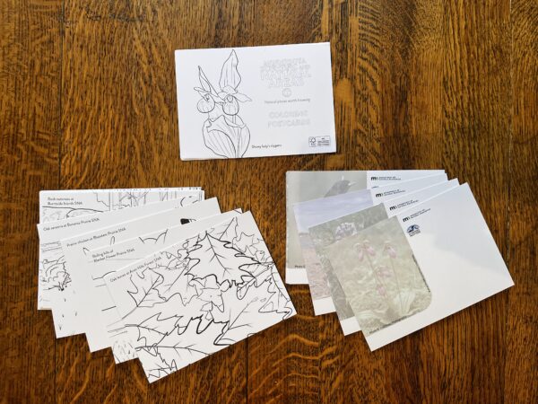 Postcards with coloring pages.