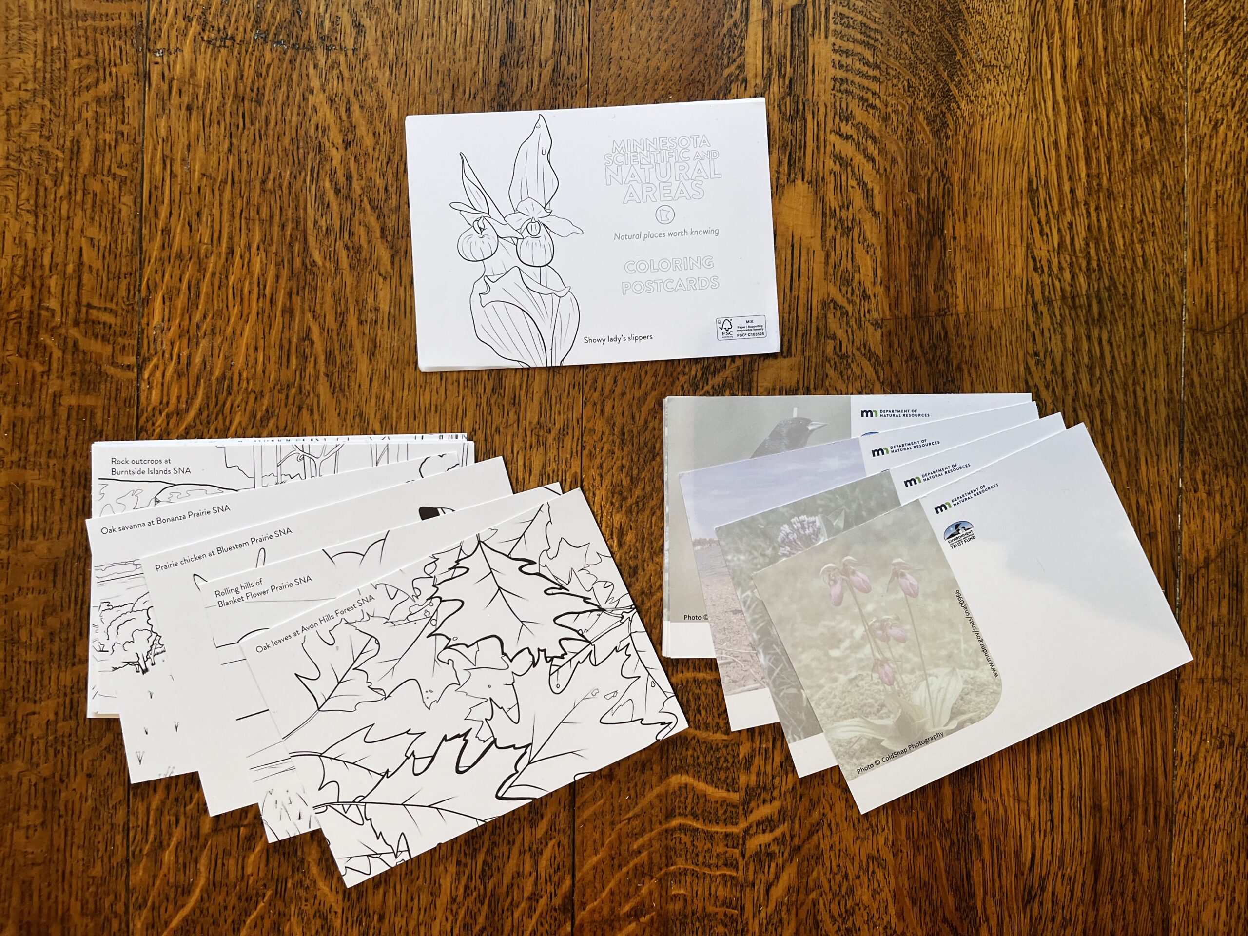 SNA Coloring Pages