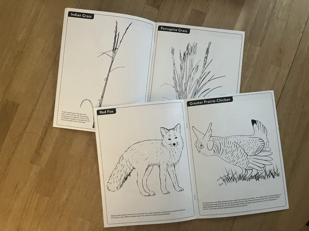 Inside pages of coloring book