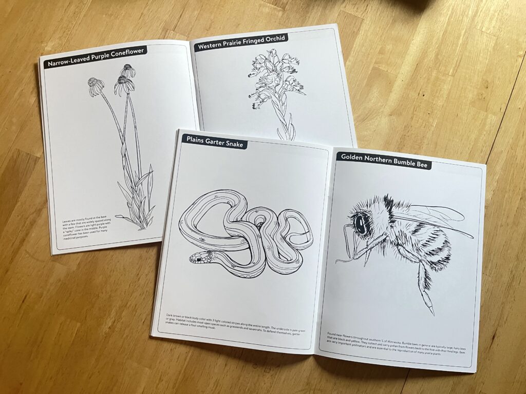Inside pages of coloring book