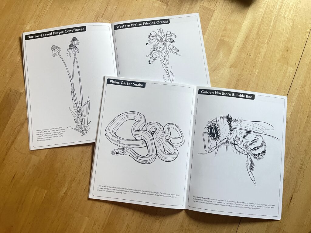 Inside pages of coloring book