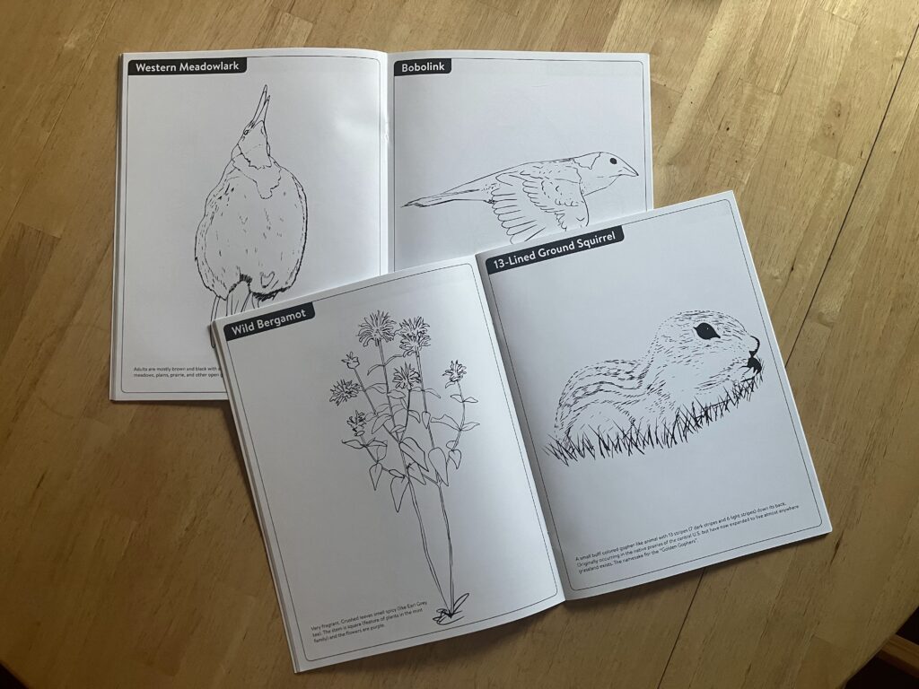 Inside pages of coloring book