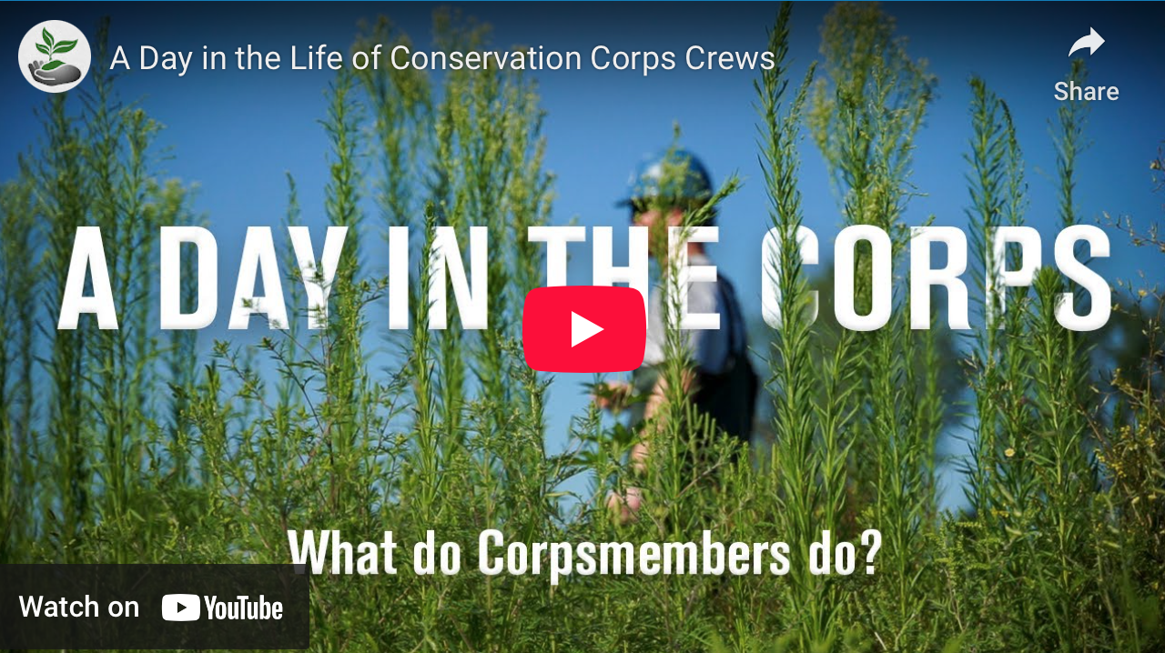 A Day in the Life of Conservation Corps Crews