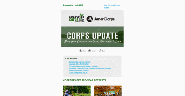 Screenshot of email newsletter