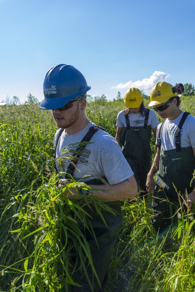 A group of people in hard hats walking through a marsh.